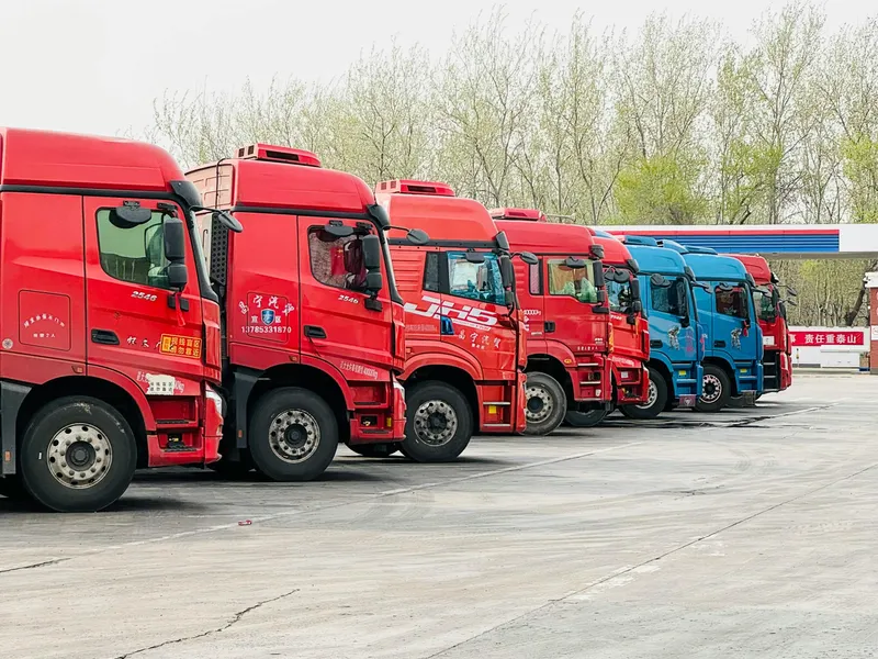 Georganiseerd en professioneel transport door Trouwborst
